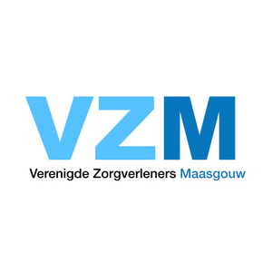 VZM Logo